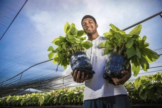 Устойчивое развитие в действии