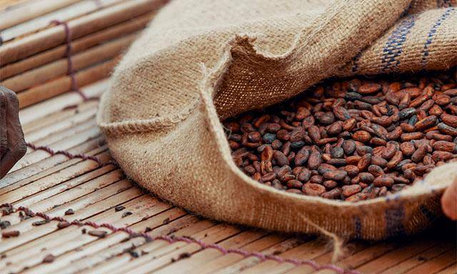 Van Houten Santo Domingo-tell the story