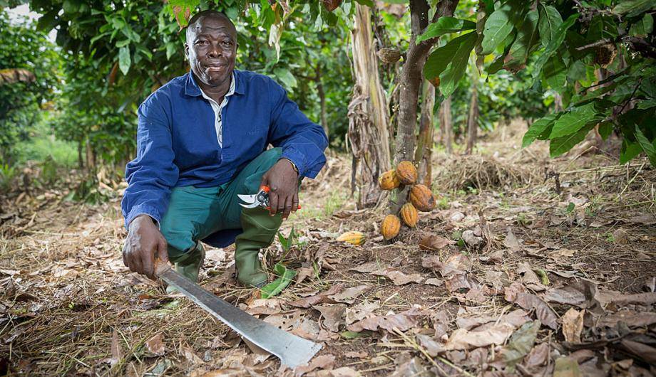 Cocoa Horizons farmer