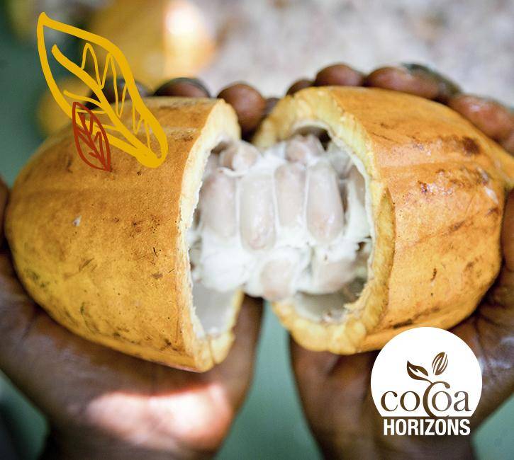 Van Houten Cocoa Horizons